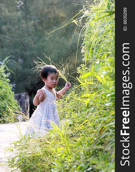 A lovely Chinese children to play outdoors. A lovely Chinese children to play outdoors.