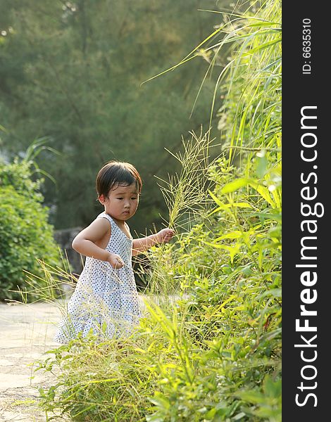 A lovely Chinese children to play outdoors. A lovely Chinese children to play outdoors.