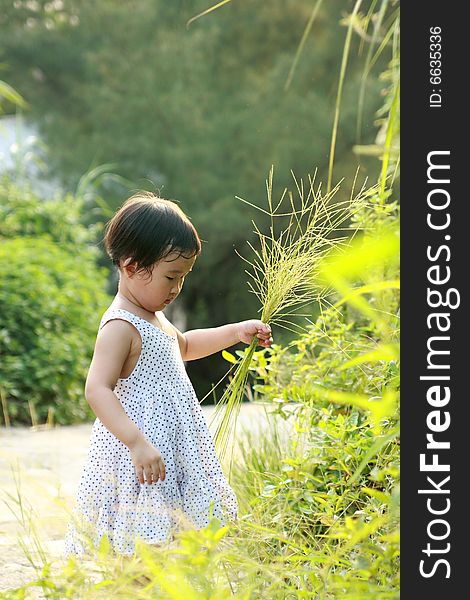 A lovely Chinese children to play outdoors. A lovely Chinese children to play outdoors.