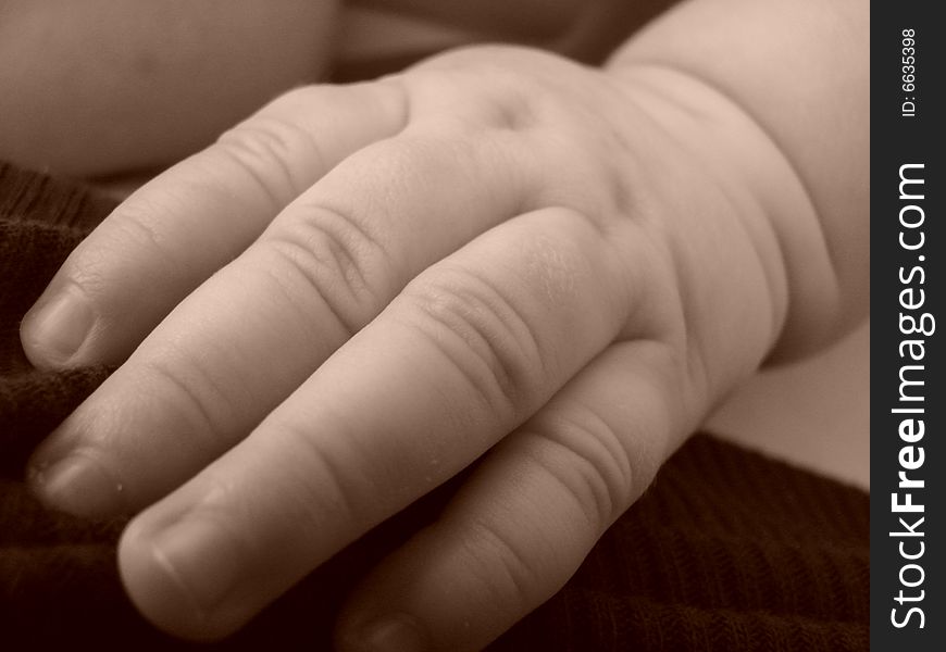 This is an up close photo of an infant's tiny hand showing the precious details. This is an up close photo of an infant's tiny hand showing the precious details.