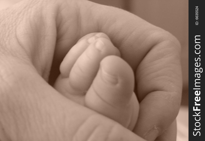 This is a photo on an adult hand holding the tiny foot of an infant. This is a photo on an adult hand holding the tiny foot of an infant.