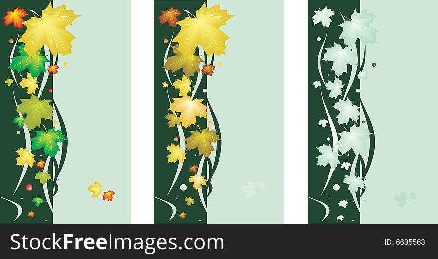 Green background with colored maple leaves. Green background with colored maple leaves