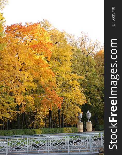 Beautiful autumn park with a white bridge