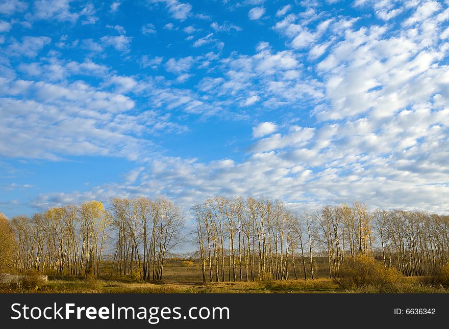 Landscape with sky and autumn trees. Landscape with sky and autumn trees