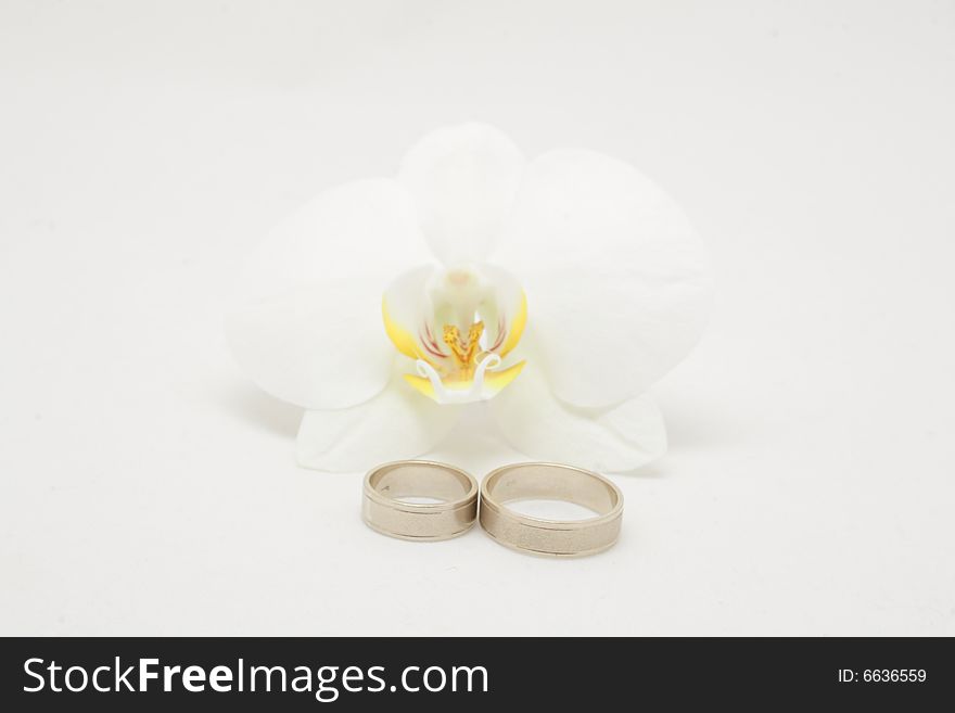 Wedding rings and white phalenopsis