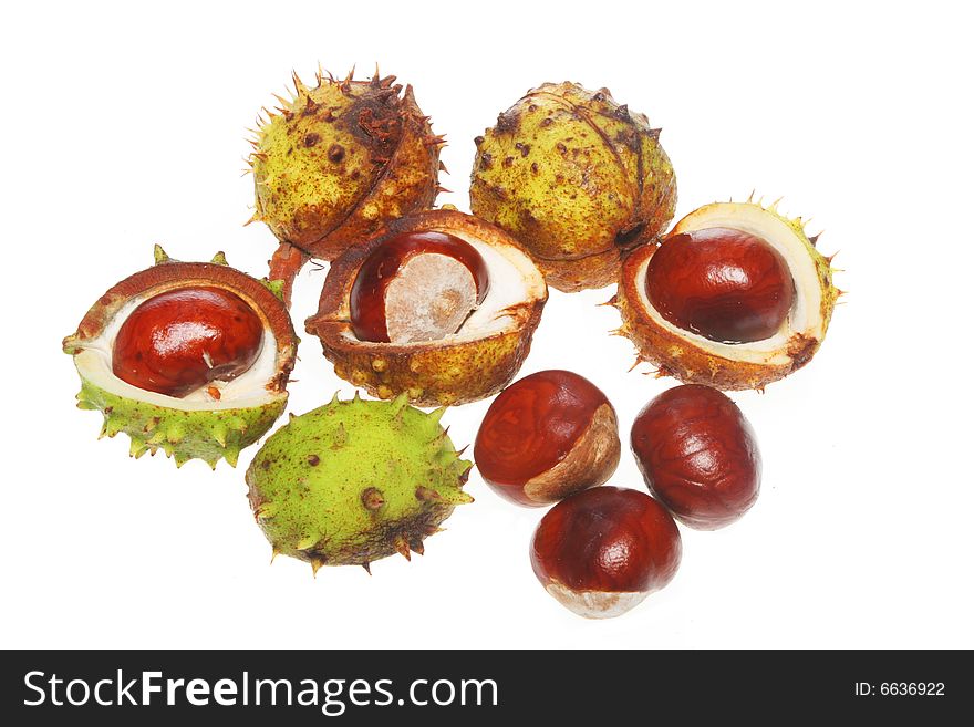 A group of conkers isolated on white. A group of conkers isolated on white