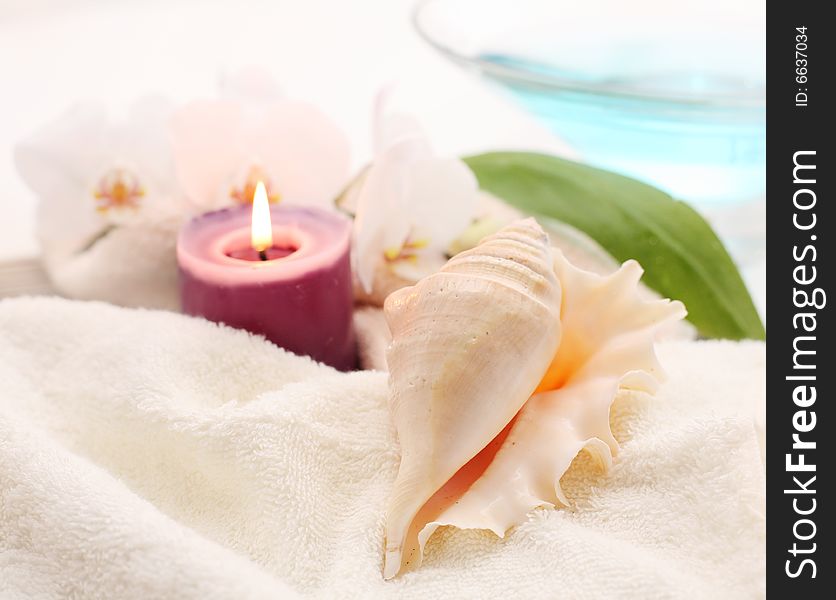 A tranquil spa setting with shell and candle. A tranquil spa setting with shell and candle