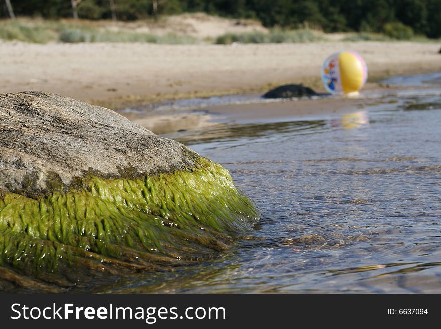 Stone with sea algae and beachball on background. Stone with sea algae and beachball on background