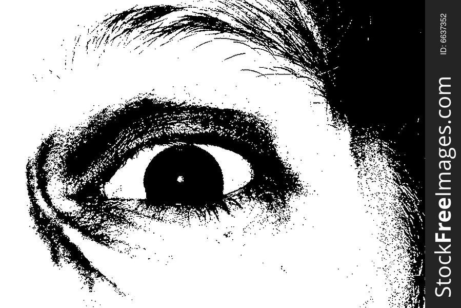 Human eye in black and white. Human eye in black and white