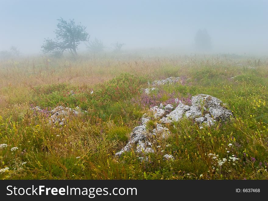 Misty morning meadow in Crimea mountains, Ukraine. Stones on a foreground