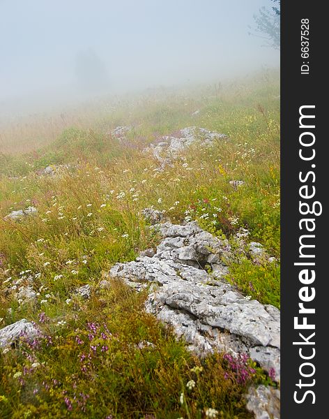 Misty morning meadow in Crimea mountains, Ukraine. Stones on a foreground