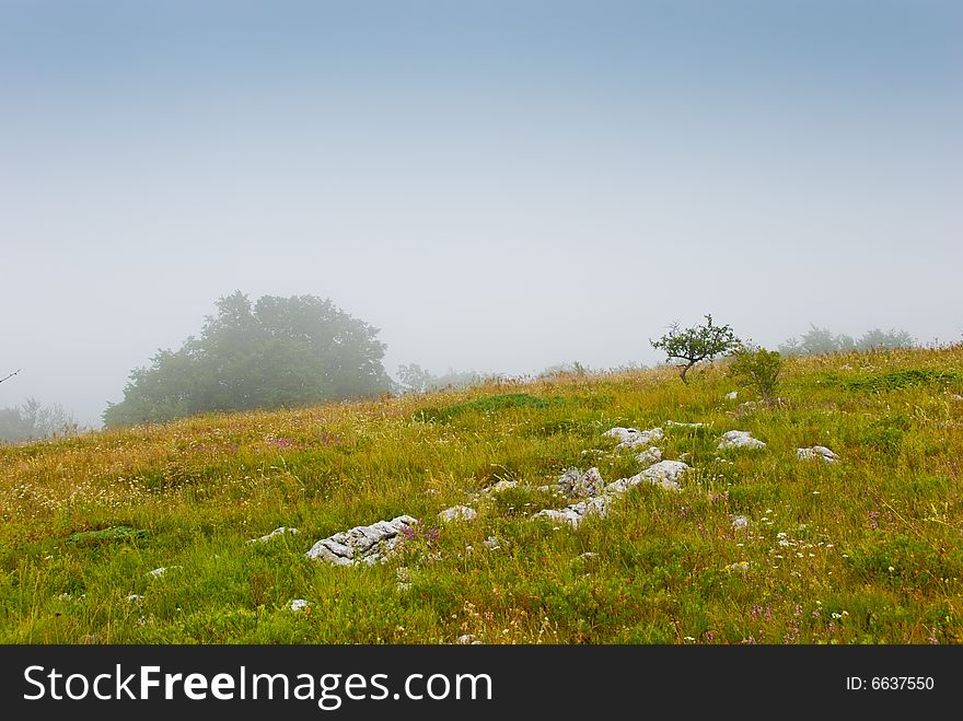 Misty morning meadow in Crimea mountains, Ukraine. Stones on a foreground