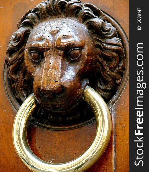 A beautiful close up of a doorknob with a lion's face