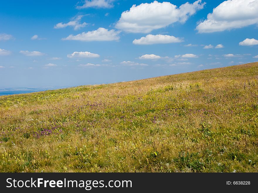 Blooming meadow with beautiful cloudy sky above