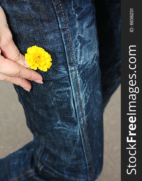 Flower With Jeans