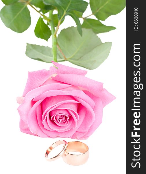 Close-up pink rose and two wedding rings, isolated on white. Close-up pink rose and two wedding rings, isolated on white