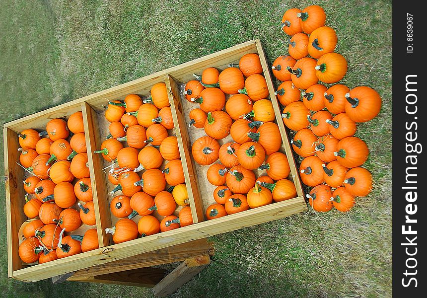Pumpkins photographed at local outdoor market in rural Georgia. Pumpkins photographed at local outdoor market in rural Georgia.