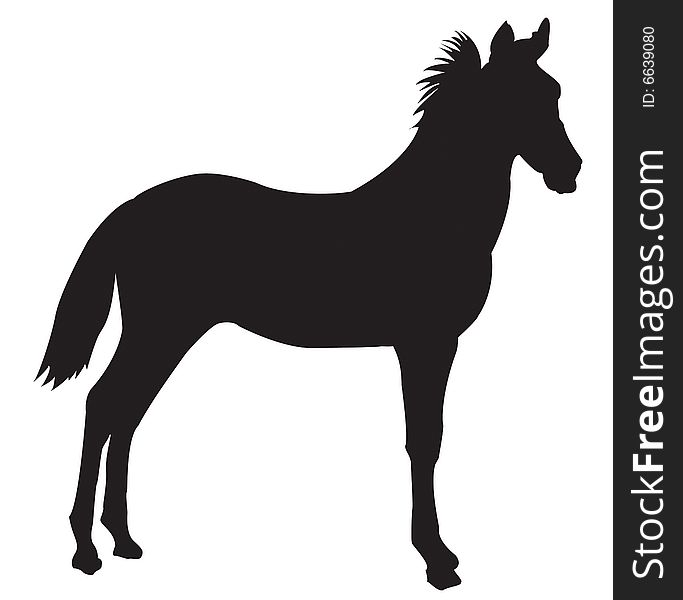 Silhouette illustration of a horse profile. Silhouette illustration of a horse profile.
