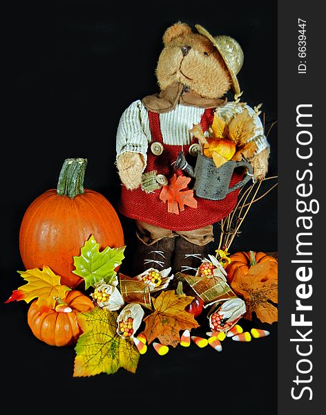 Cute teddy bear in an autumn display. Cute teddy bear in an autumn display.