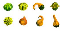 Set Of Pumpkins Stock Image