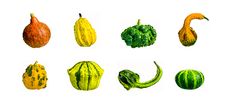 Set Of Pumpkins Royalty Free Stock Photo Set Of Pumpkins Royalty Free Stock Photo