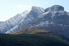 Moutain And Trees Royalty Free Stock Photos Moutain And Trees Royalty Free Stock Photos
