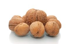 Huge Walnuts And Many Small Walnuts Stock Photography Huge Walnuts And Many Small Walnuts Stock Photography