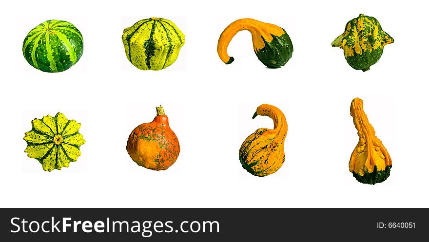 An isolated set of different pumpkins (cucurbita pepo). An isolated set of different pumpkins (cucurbita pepo)