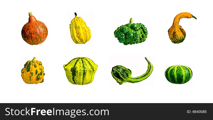 An isolated set of different pumpkins (cucurbita pepo). An isolated set of different pumpkins (cucurbita pepo)