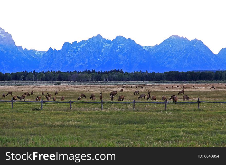 The Grand Teton National Park in Wyoming