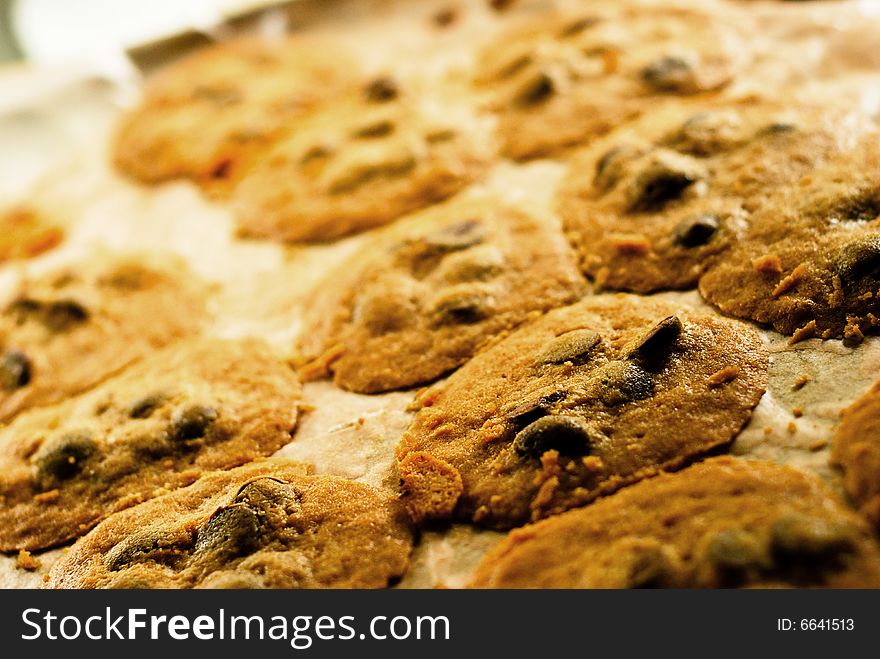 Homemade chocolate chip cookies fresh from the oven