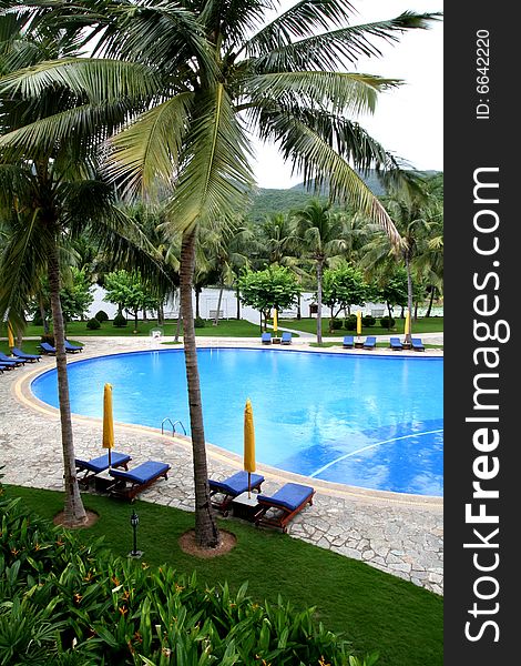 Outdoor swimming pool with coconut palms around, and rest bed on the bank.