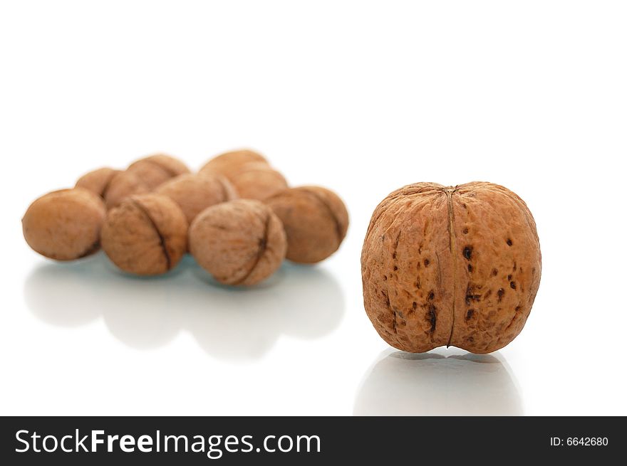 Huge walnut and many small walnuts isolated on white