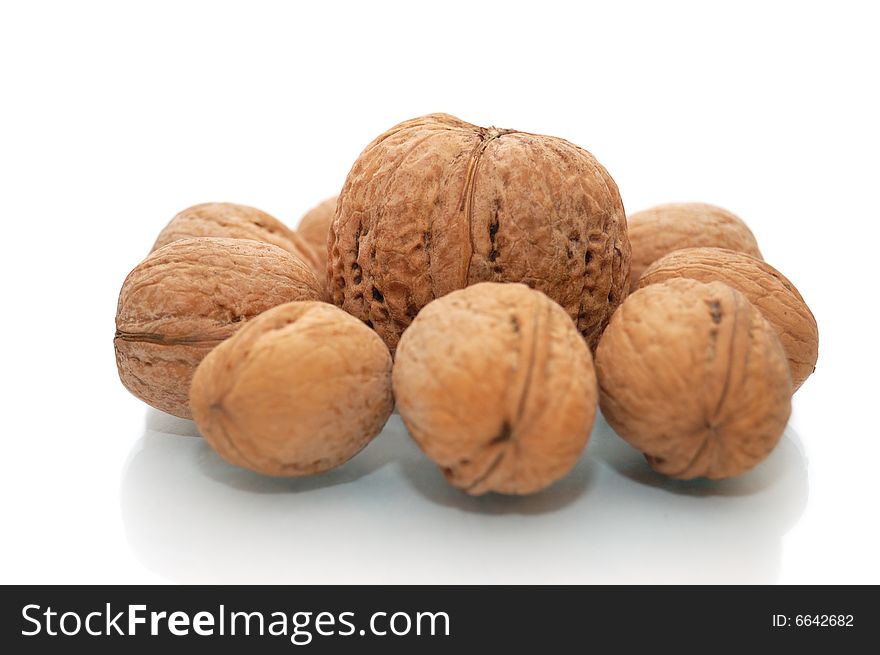 Huge walnuts and many small walnuts isolated on white