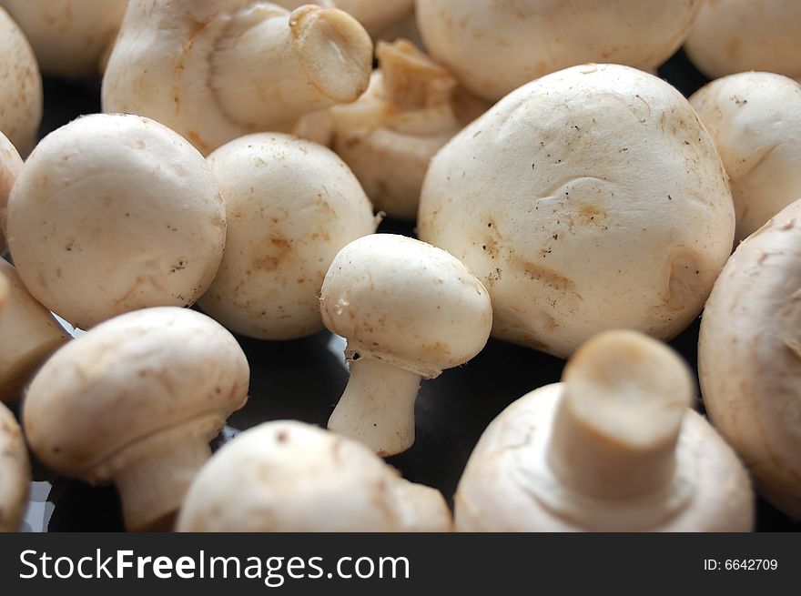 White mushrooms - champignons - on black background