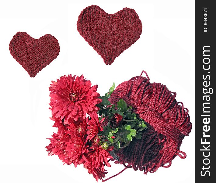 Cherry chrysanthemums, skein and knitted hearts on white background. Cherry chrysanthemums, skein and knitted hearts on white background