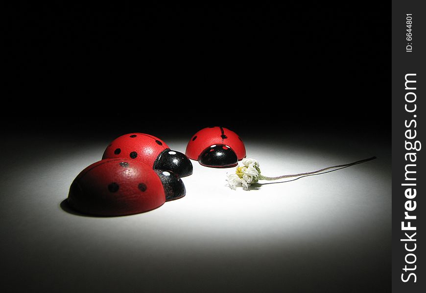 Even some ladybird\'s seeking for lady\'s thing. Even some ladybird\'s seeking for lady\'s thing...