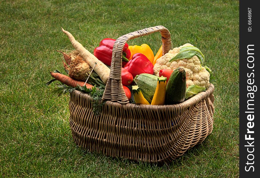 Basket full of vegetables - on the grass. Basket full of vegetables - on the grass.