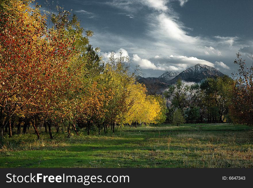 Landscape with autumn trees and mountains. Landscape with autumn trees and mountains