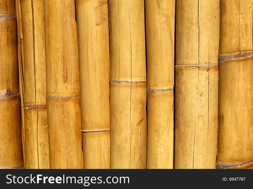 Yellow bamboo screen. A close up