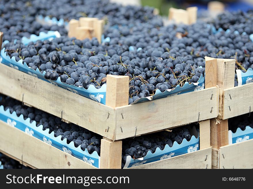 Blue juicy grapes in wooden boxes