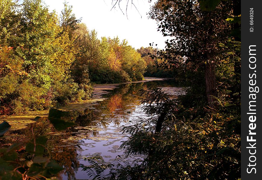 Vivid colors of autumn are reflected in clear water. Vivid colors of autumn are reflected in clear water