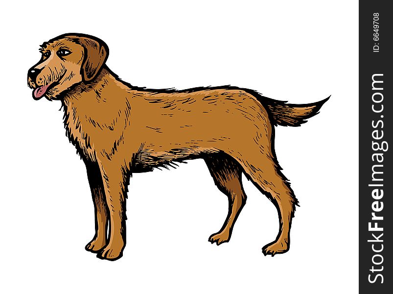 Cartoon illustration of an English Setter dog