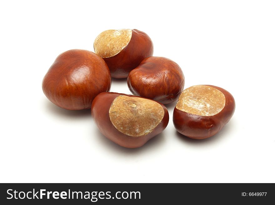 Conkers on the white background.