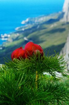 Travel On Mountains Royalty Free Stock Photos