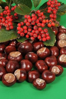 Chestnuts And Leaves, Fall Is Coming Royalty Free Stock Photos