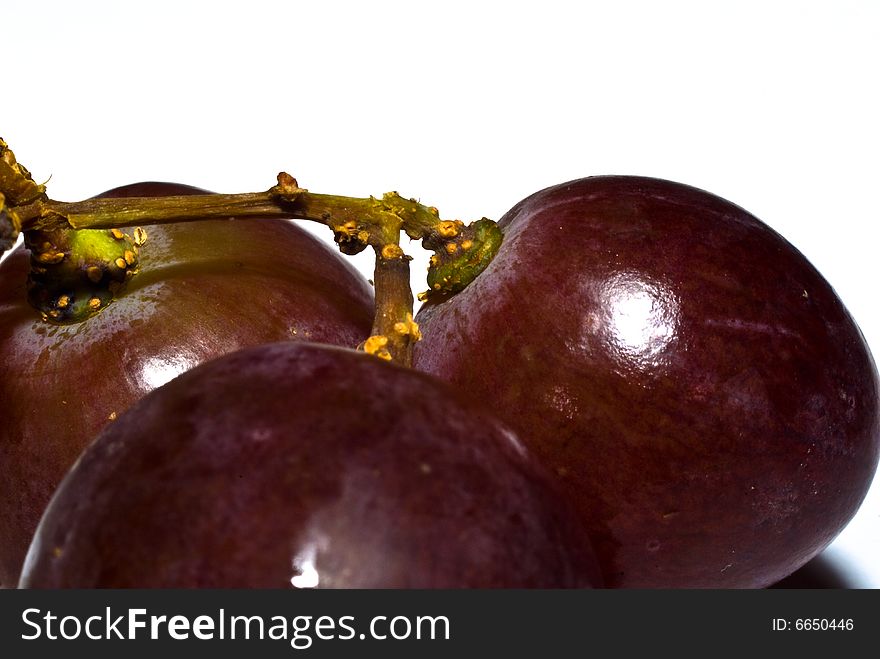 Isolated close up image of black grapes.