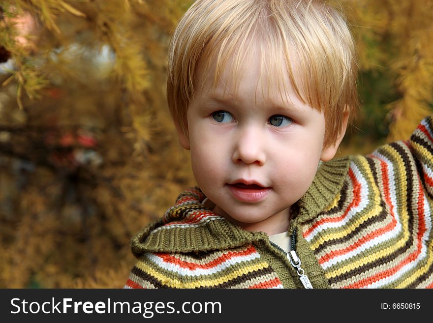 Portrait of the child in autumn park