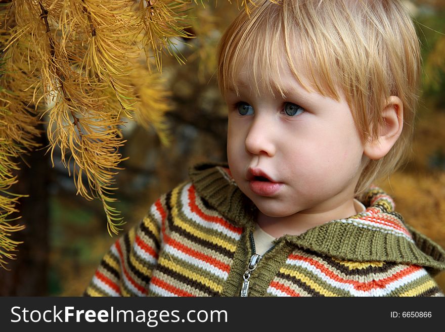 Portrait of the child in autumn park