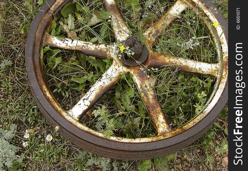 Rusty old wheel in the grass